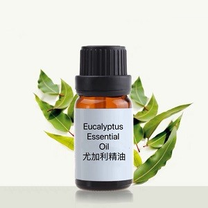 Eucalyptus Essential Oil 尤加利精油