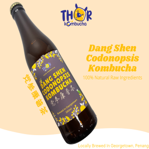 Dang Shen Codonopsis Thor Kombucha