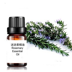 Rosemary Essential Oil 迷迭香精油