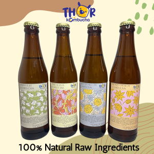 4in1 Fruit Series Thor Kombucha