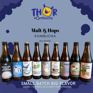 9in1 Malt & Hops Thor Kombucha