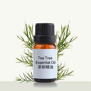 Tea Tree Essential Oil茶树精油