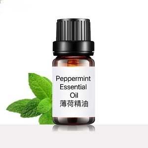 Peppermint  Essential Oil 薄荷精油