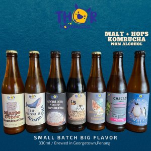 7 in 1 Malt & Hops Thor Kombucha